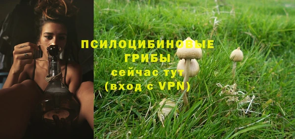 ALPHA PVP Пролетарск
