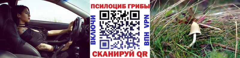 Галлюциногенные грибы Cubensis  где купить наркотик  Арсеньев 